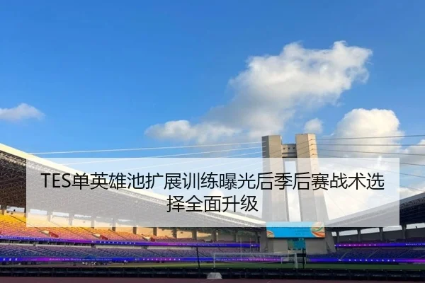 TES单英雄池扩展训练曝光后季后赛战术选择全面升级 - XCSPORT